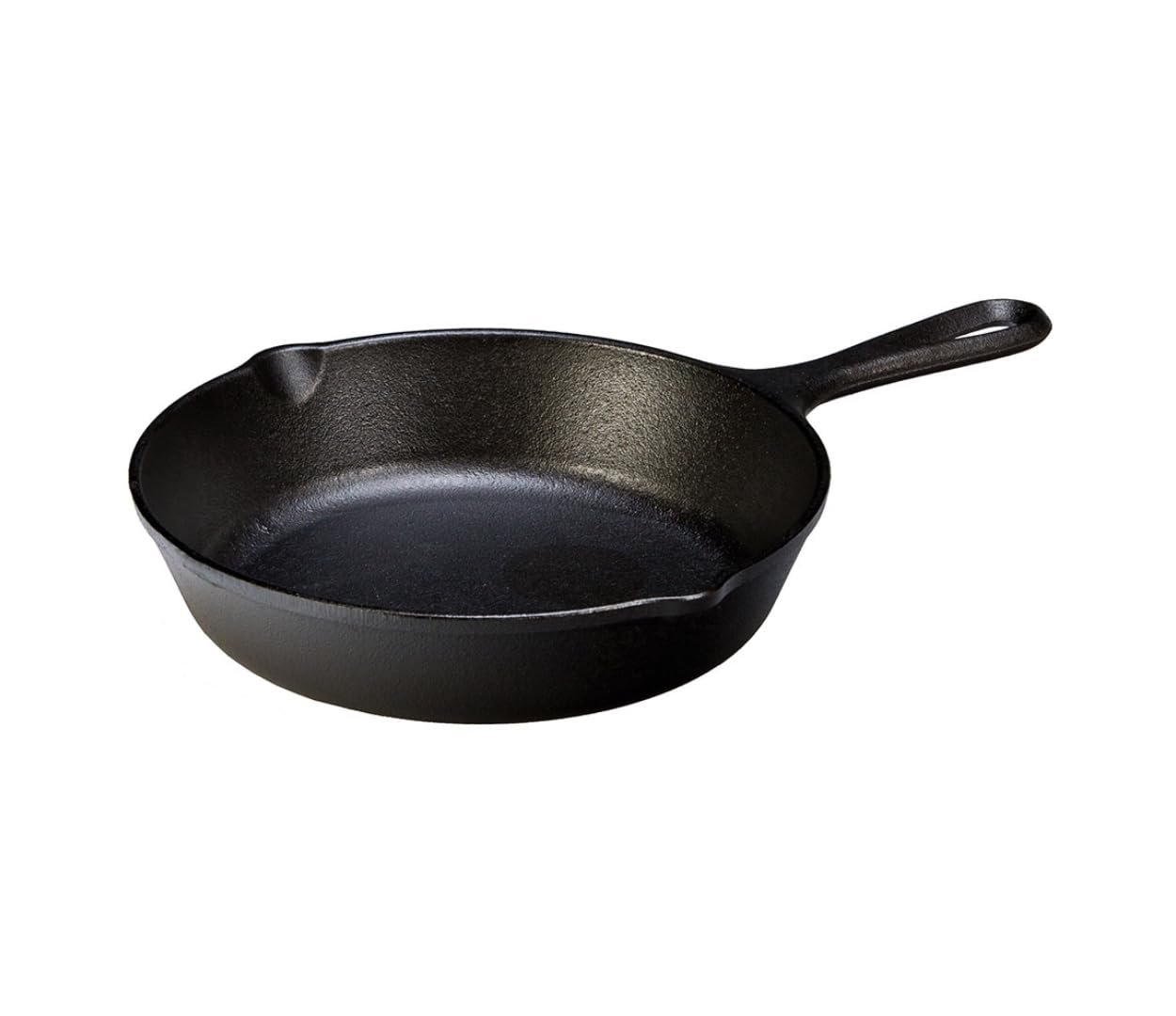 Lodge Cast Iron Pre-Seasoned Skillet